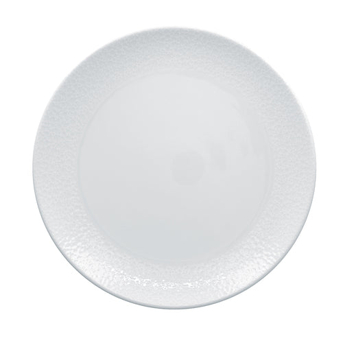 FLAT  COUPE PLATE, 11''D, POLARIS