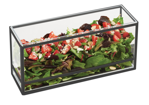 Presentation Display, 15''W x 5''D x 7''H, rectangular, non-refrigerated, countertop, reversible design