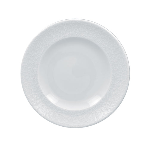 ROUND FLAT PLATE, 6.7''D, POLARIS